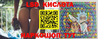 стафф Волгодонск
