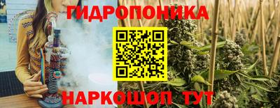стафф Волгодонск