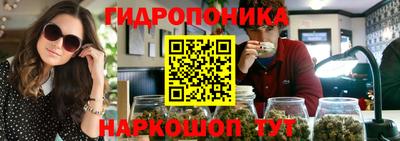 стафф Волгодонск