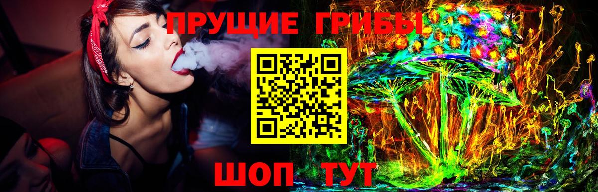 Псилоцибиновые грибы Magic Shrooms  Вход с VPN  Батайск  Псилоцибиновые грибы Cubensis 